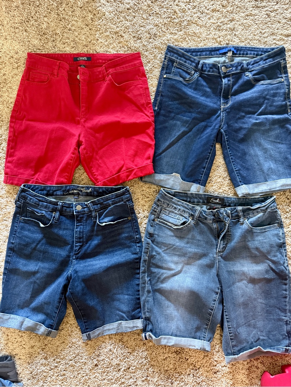 Bermuda Shorts